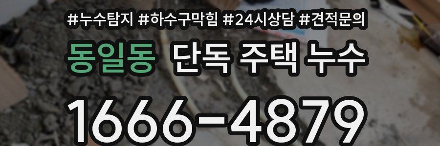 동일동 단독 주택 누수