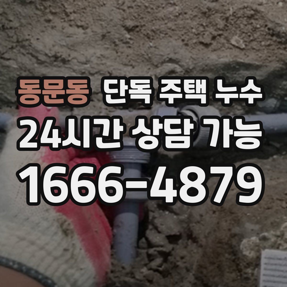 동문동 단독 주택 누수 마루 틈 사이로 습기가 올라올 때
