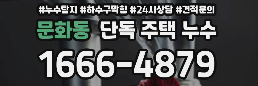 문화동 단독 주택 누수