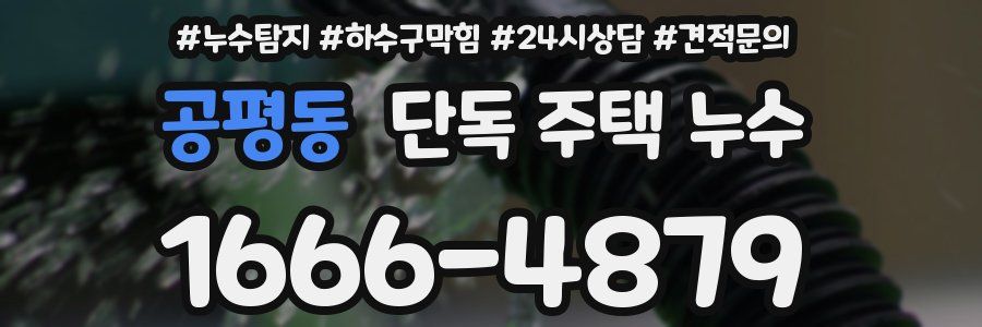 공평동 단독 주택 누수