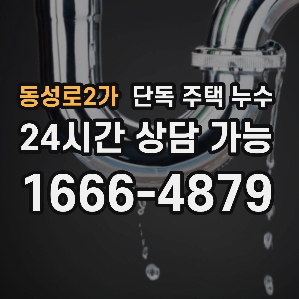 동성로2가 단독 주택 누수