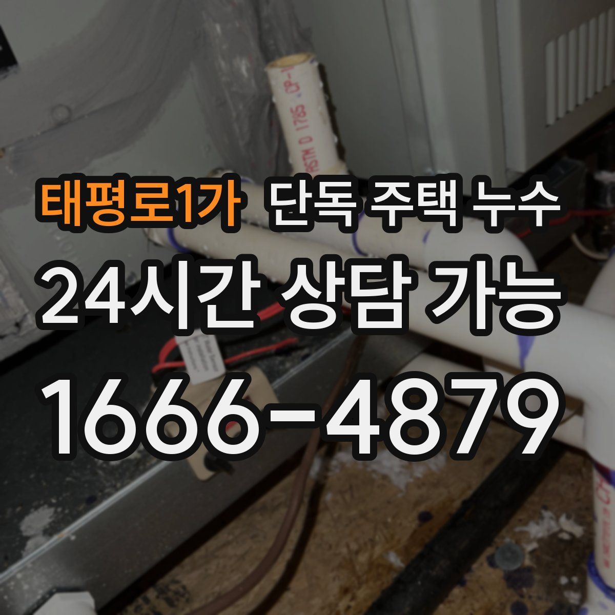 태평로1가 단독 주택 누수