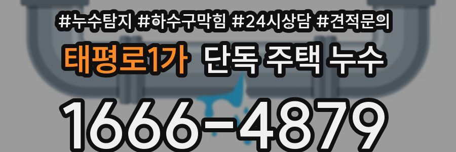 태평로1가 단독 주택 누수