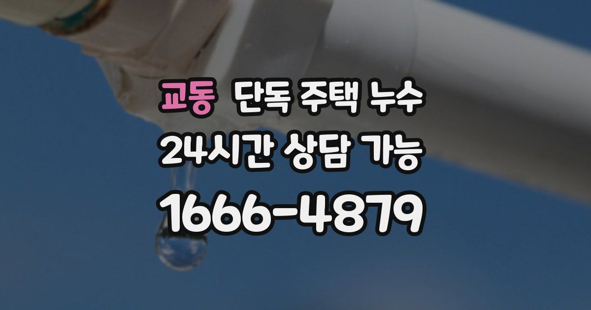 교동 단독 주택 누수