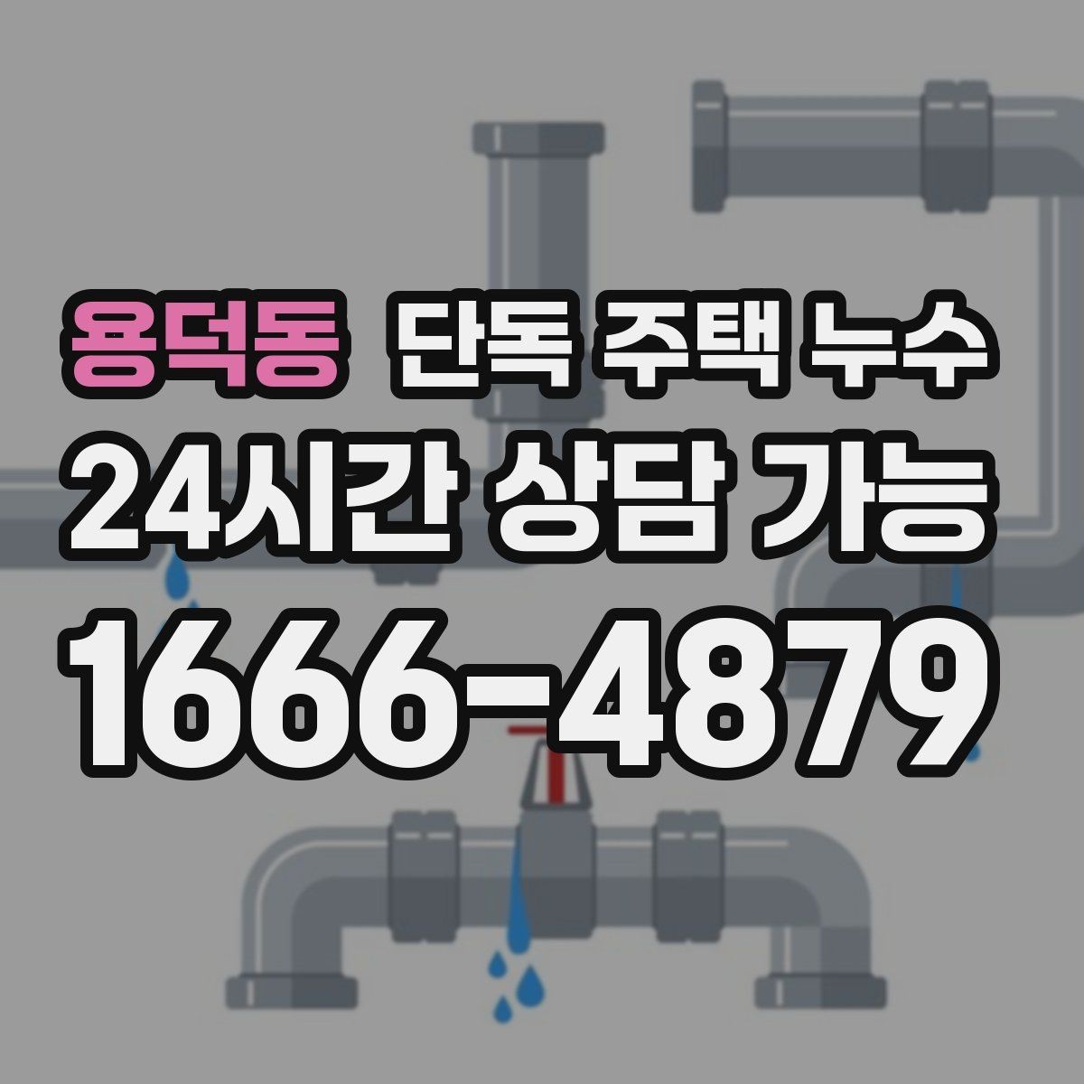 용덕동 단독 주택 누수 유리 하부 물고임이 반복될 때 점검