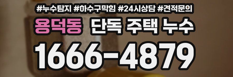 용덕동 단독 주택 누수