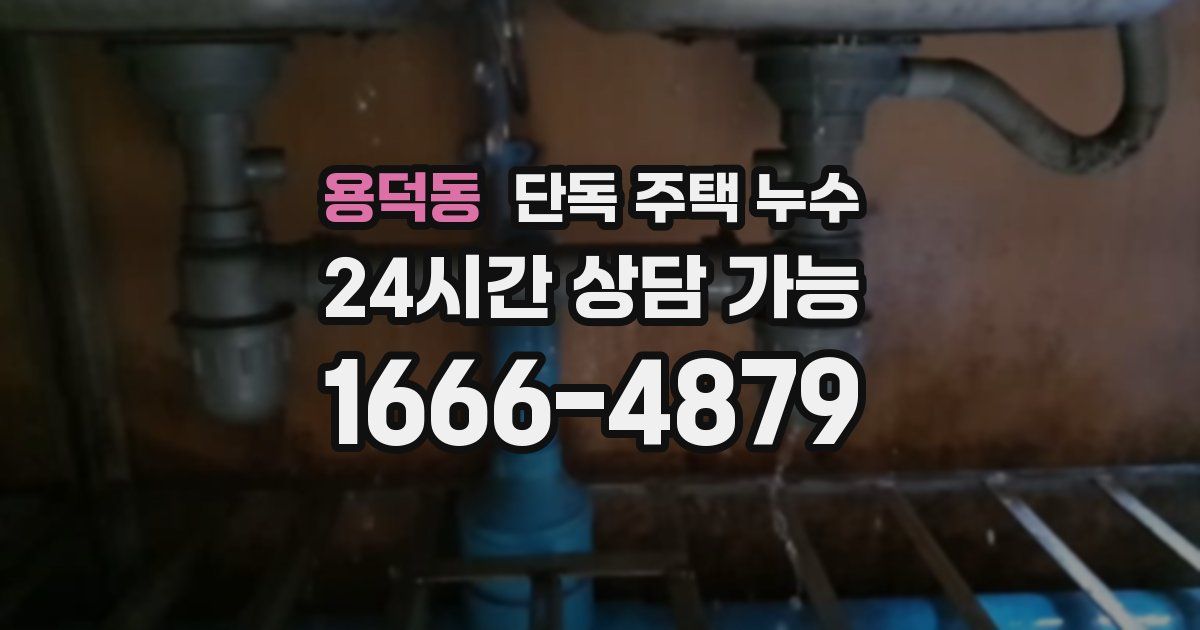 용덕동 단독 주택 누수