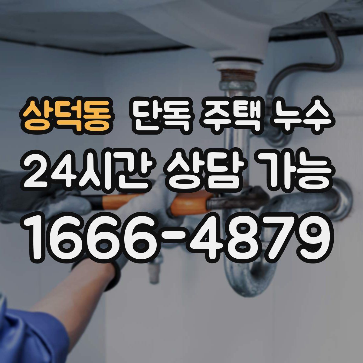 상덕동 단독 주택 누수