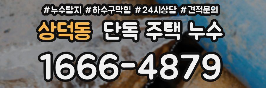 상덕동 단독 주택 누수