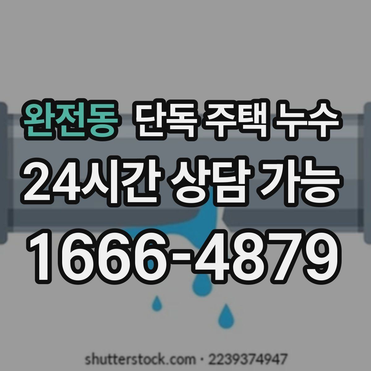 완전동 단독 주택 누수 욕실 문턱 물 고임이 반복될 때