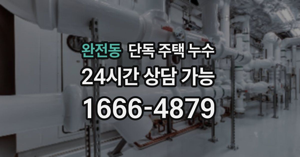 완전동 단독 주택 누수