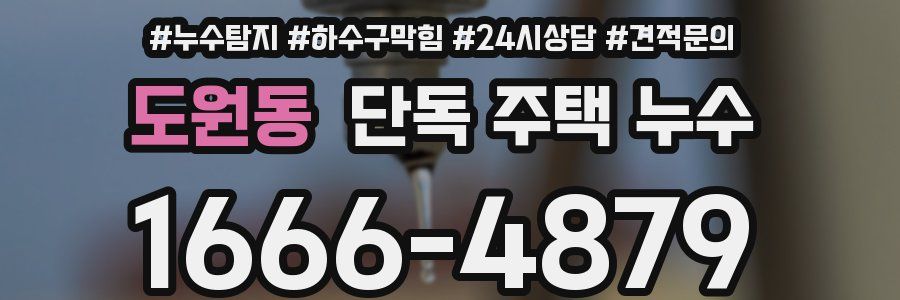 도원동 단독 주택 누수