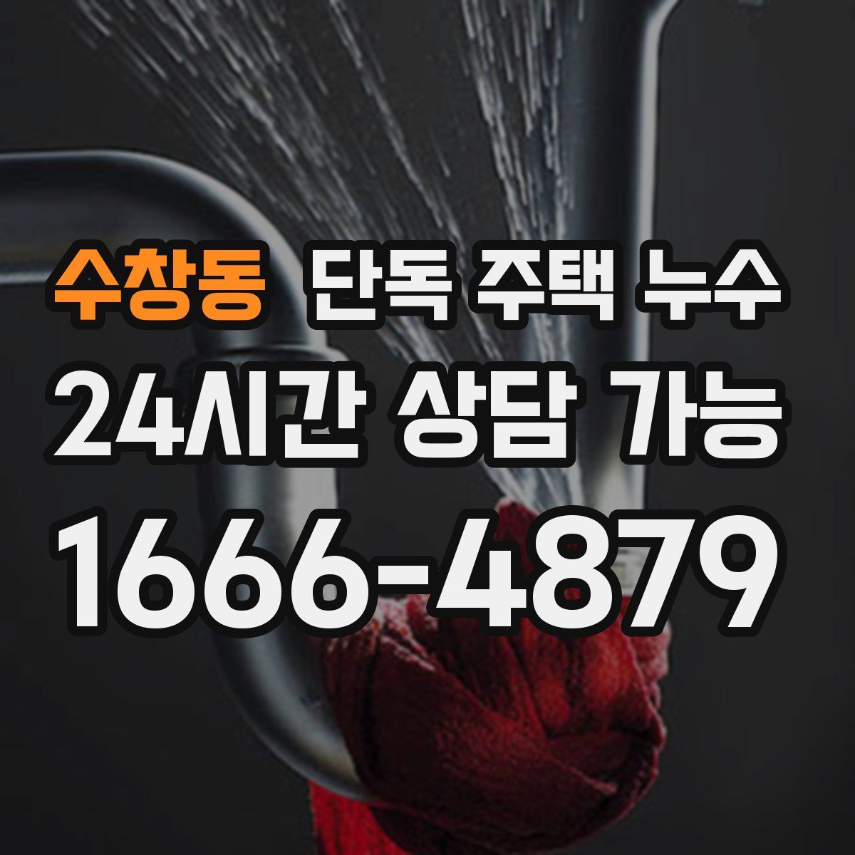 수창동 단독 주택 누수