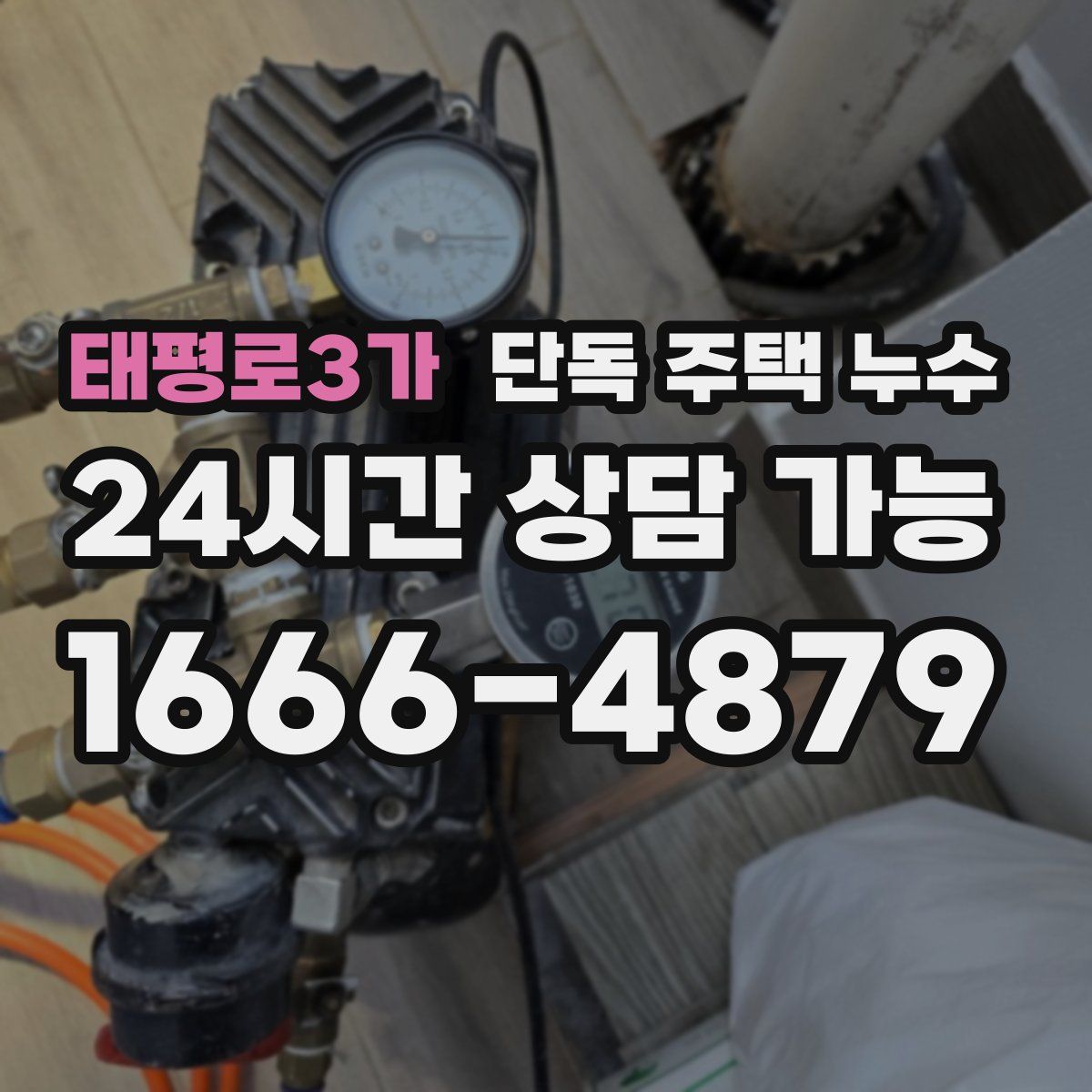 태평로3가 단독 주택 누수