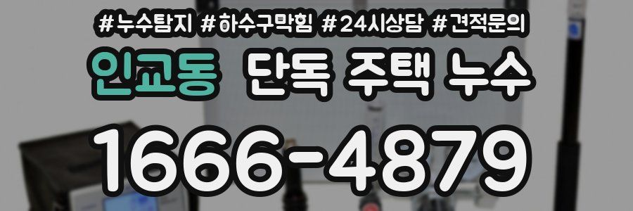 인교동 단독 주택 누수