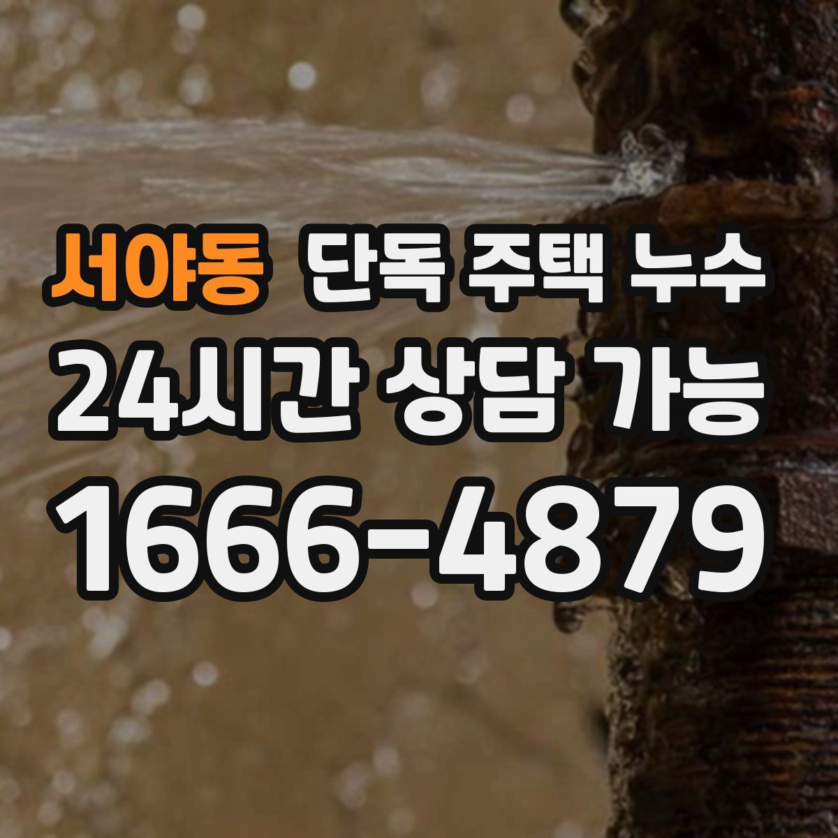 서야동 단독 주택 누수