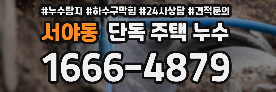 서야동 단독 주택 누수