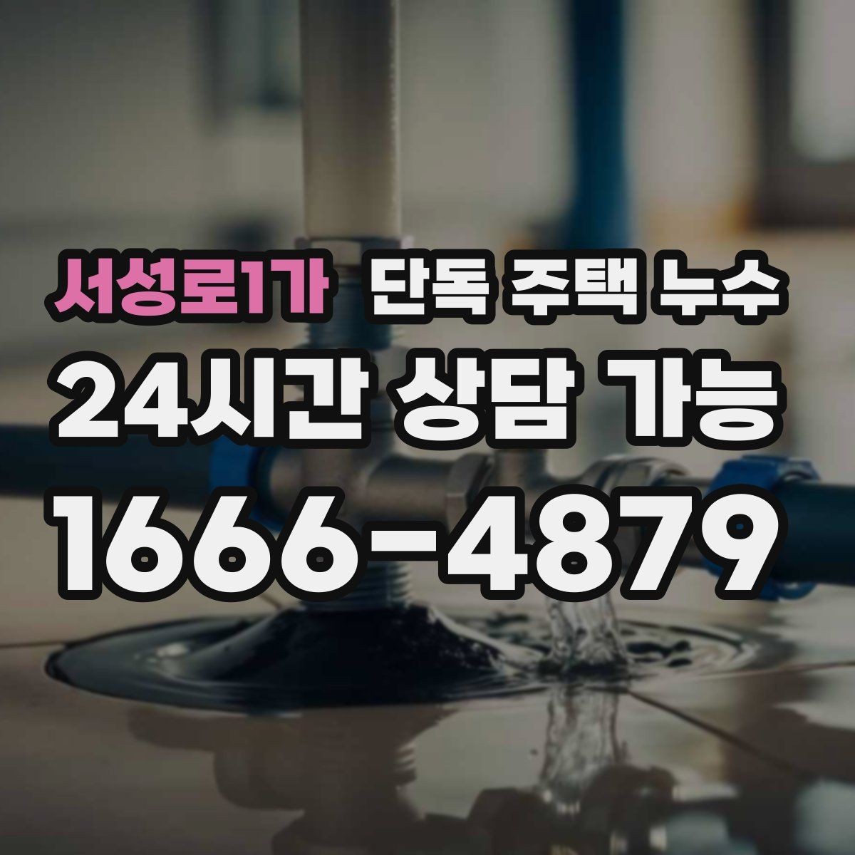 서성로1가 단독 주택 누수 배수관 누수로 악취와 습기가 함께 날 때