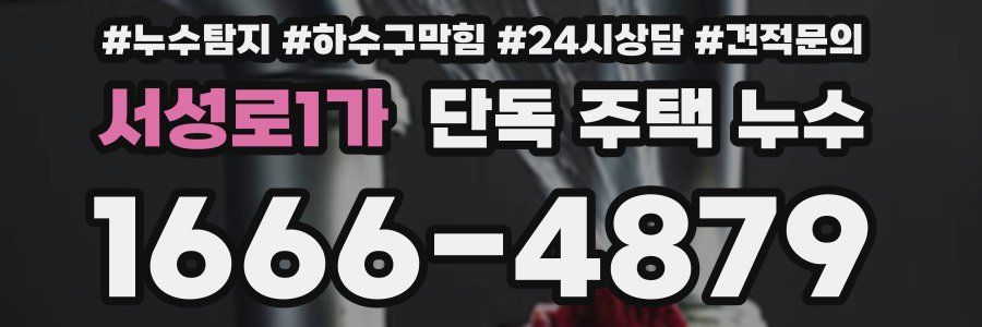 서성로1가 단독 주택 누수