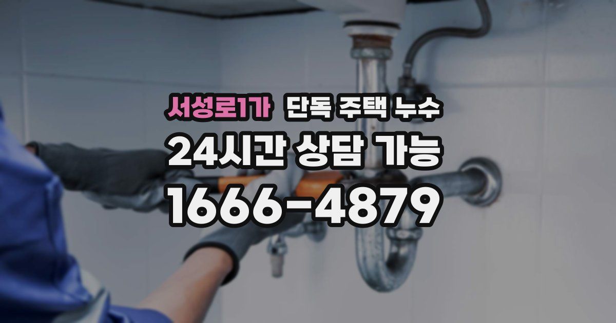 서성로1가 단독 주택 누수