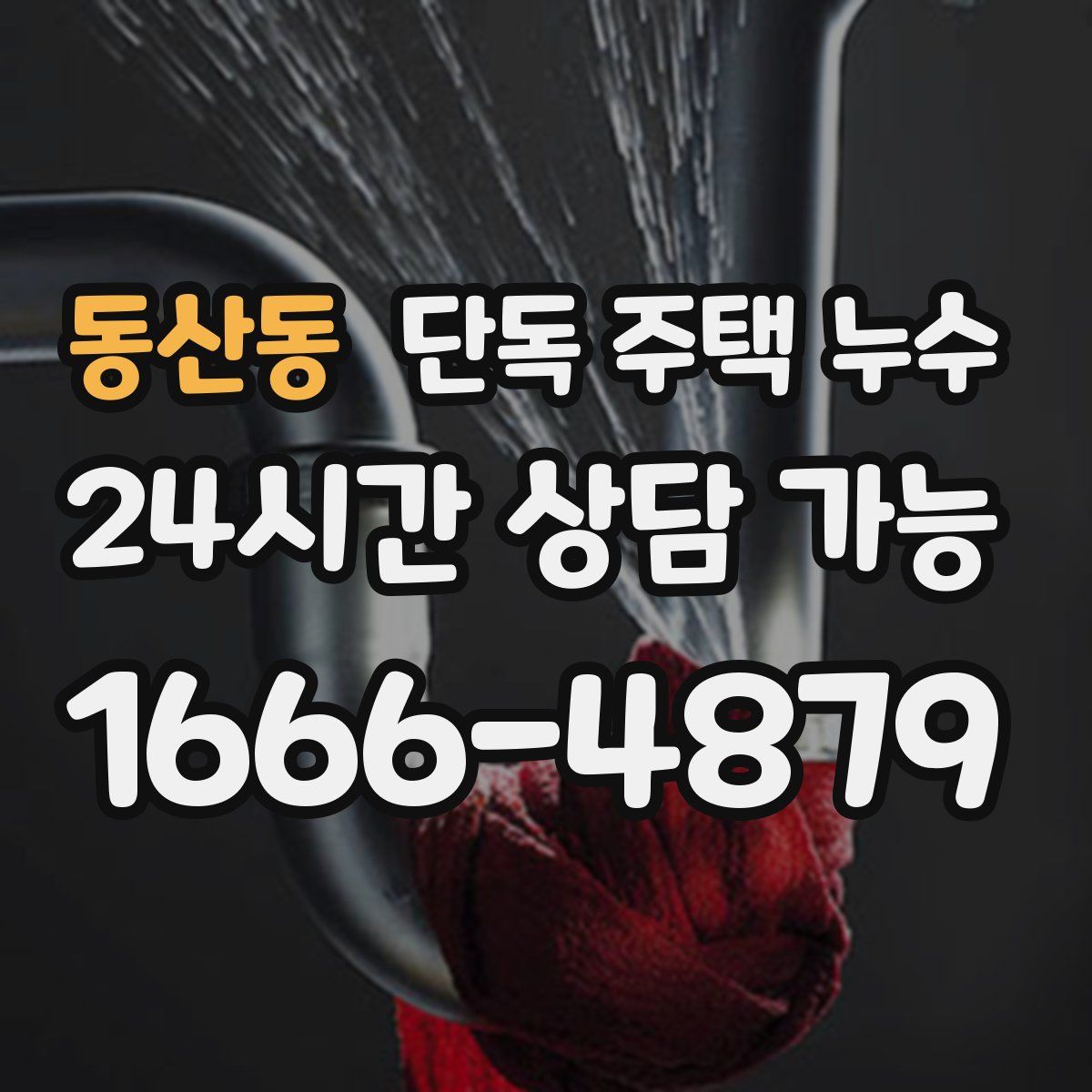 동산동 단독 주택 누수