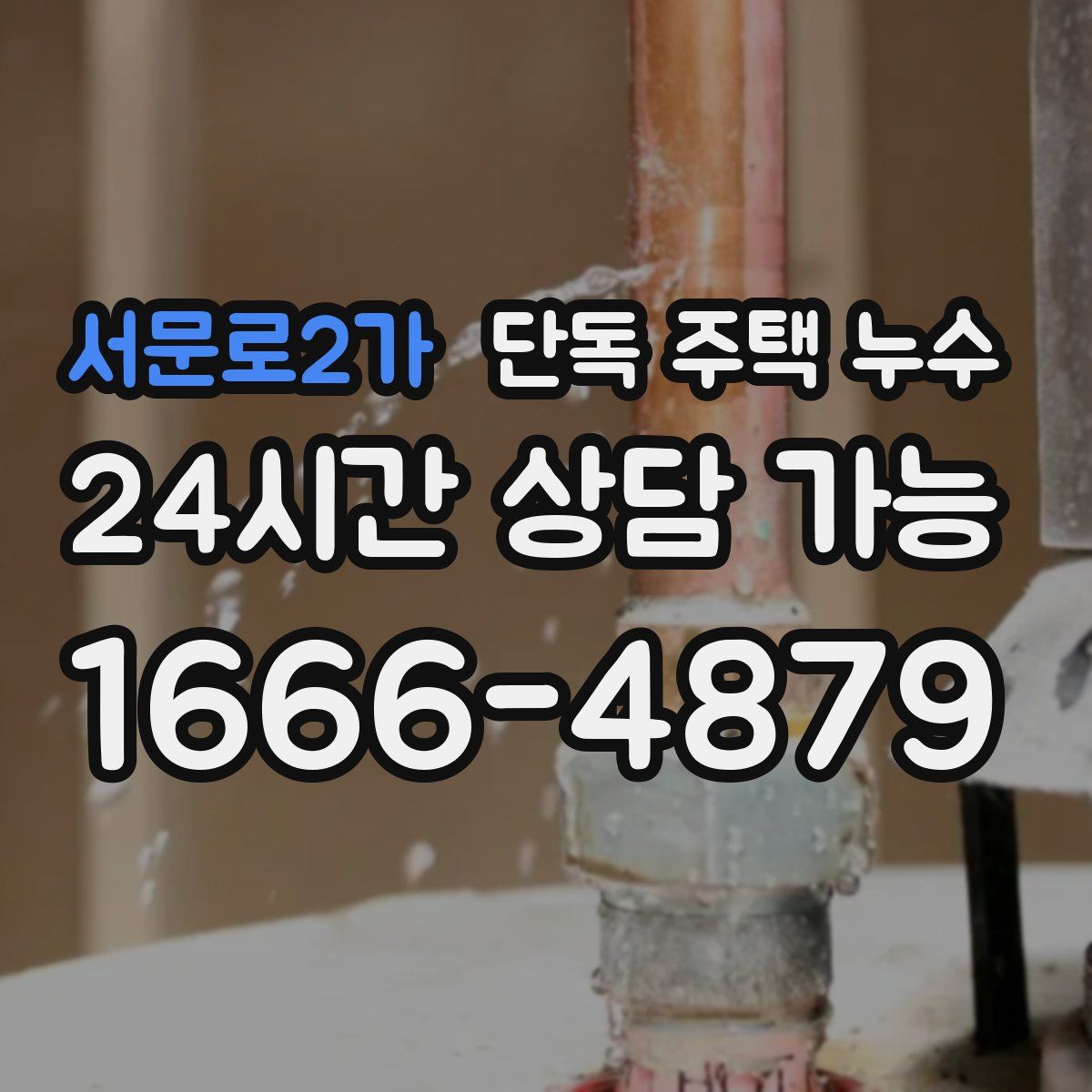 서문로2가 단독 주택 누수