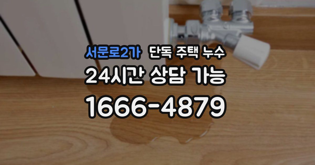 서문로2가 단독 주택 누수