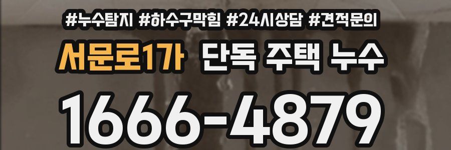 서문로1가 단독 주택 누수