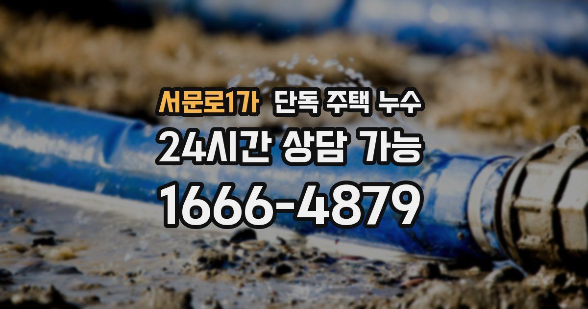 서문로1가 단독 주택 누수