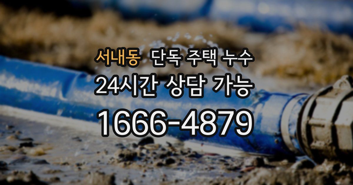 서내동 단독 주택 누수