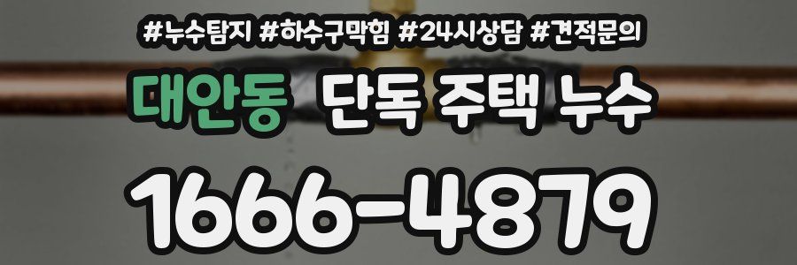 대안동 단독 주택 누수