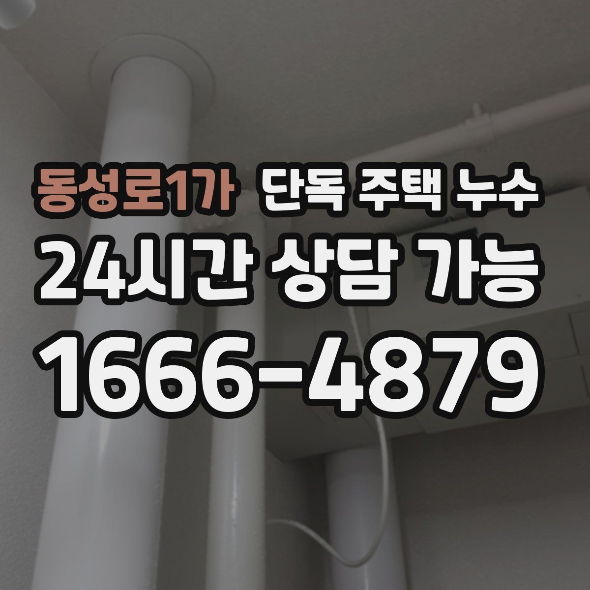 동성로1가 단독 주택 누수 변기 주변 바닥이 젖을 때 체크