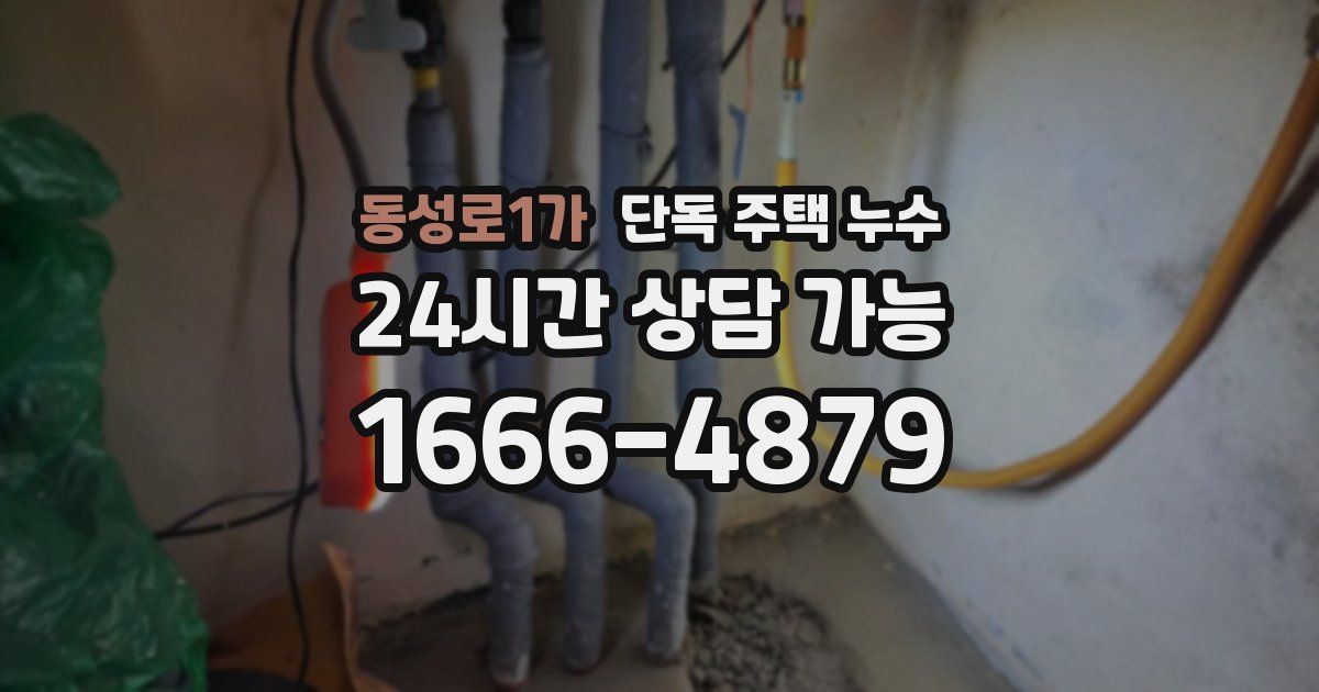 동성로1가 단독 주택 누수