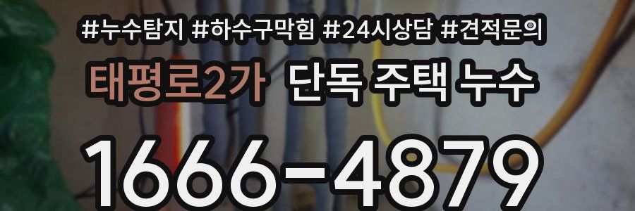 태평로2가 단독 주택 누수