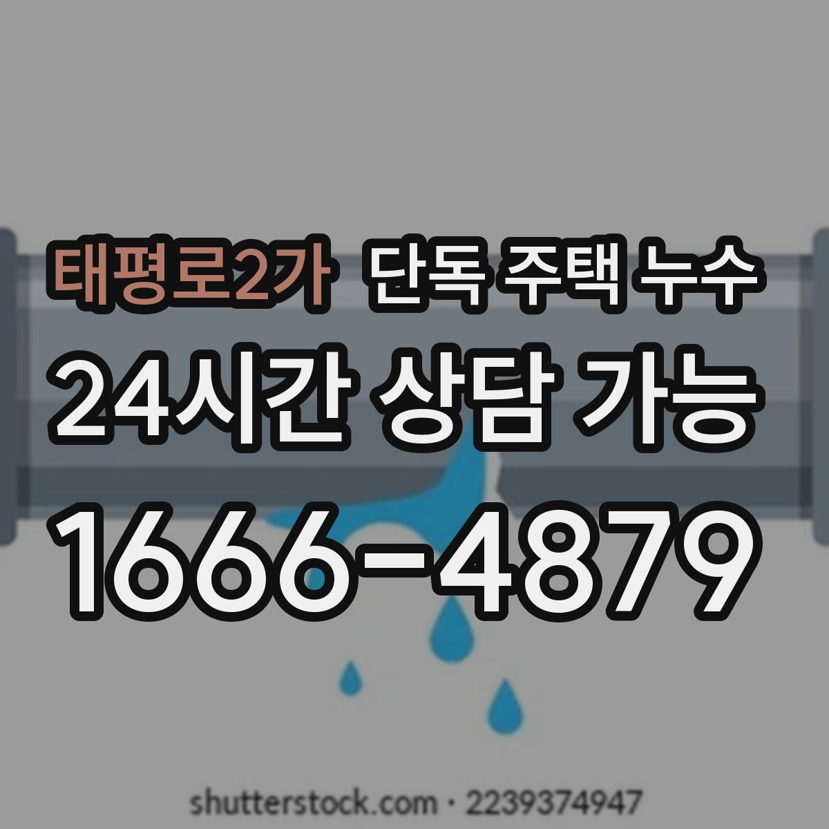 태평로2가 단독 주택 누수