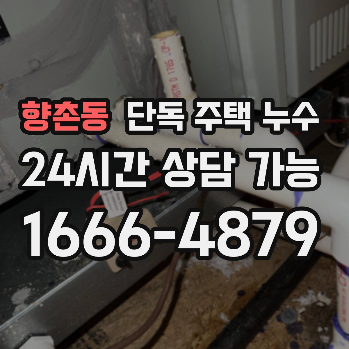 향촌동 단독 주택 누수