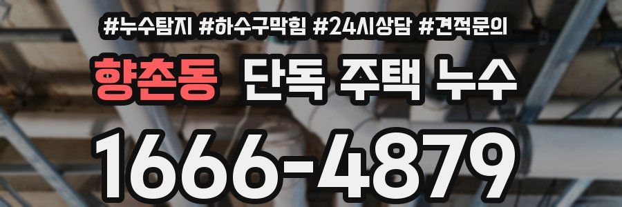 향촌동 단독 주택 누수