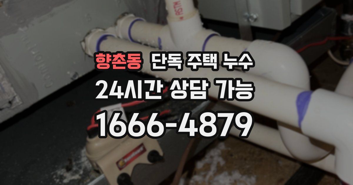향촌동 단독 주택 누수