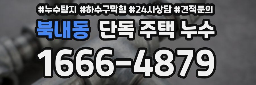 북내동 단독 주택 누수