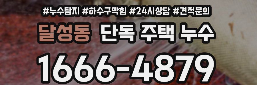 달성동 단독 주택 누수