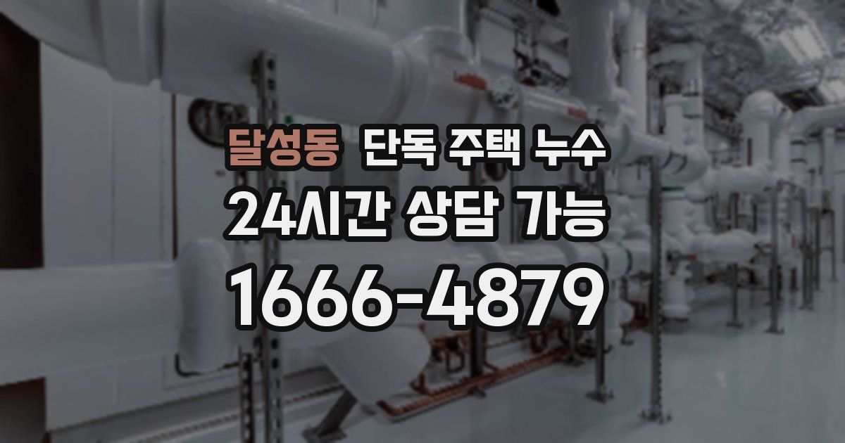 달성동 단독 주택 누수