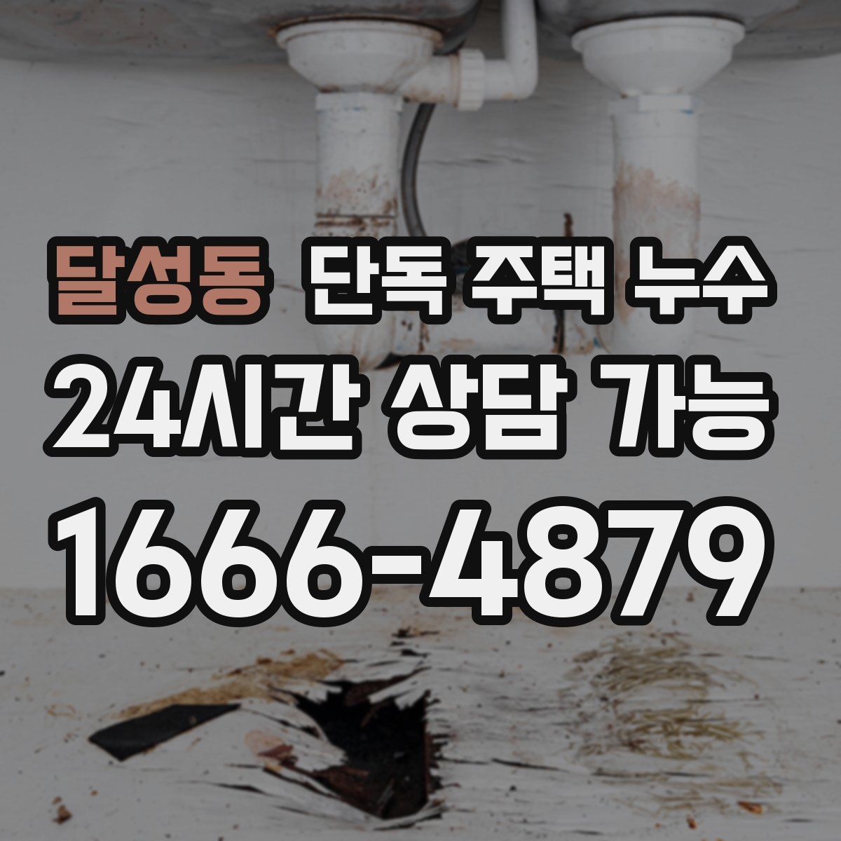 달성동 단독 주택 누수