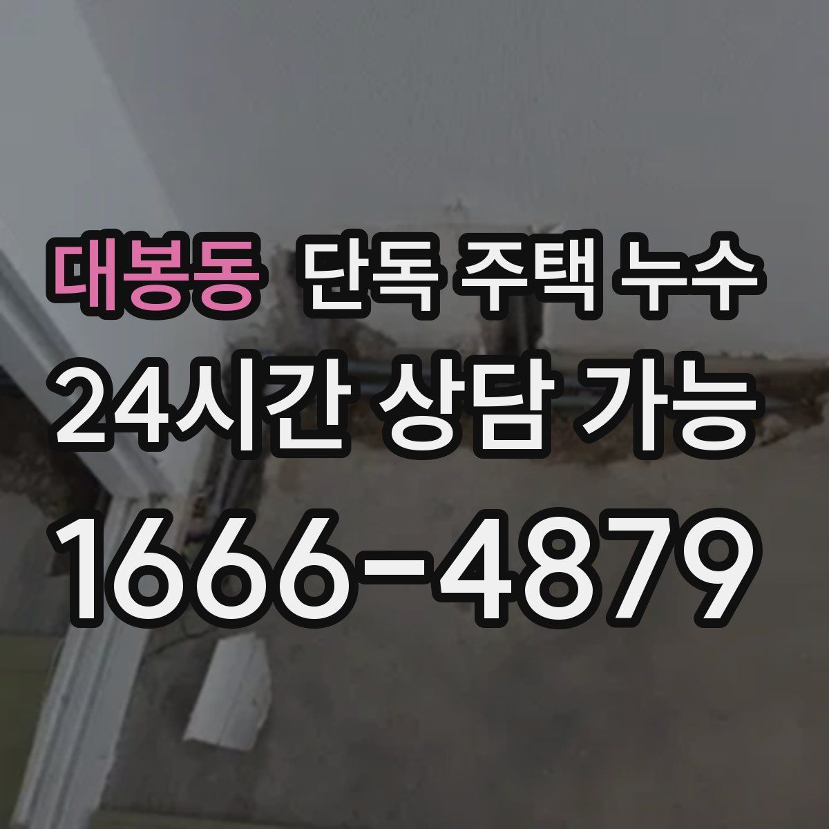 대봉동 단독 주택 누수