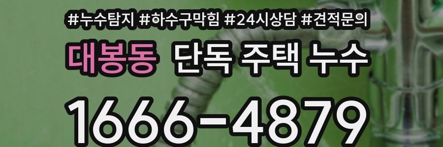 대봉동 단독 주택 누수