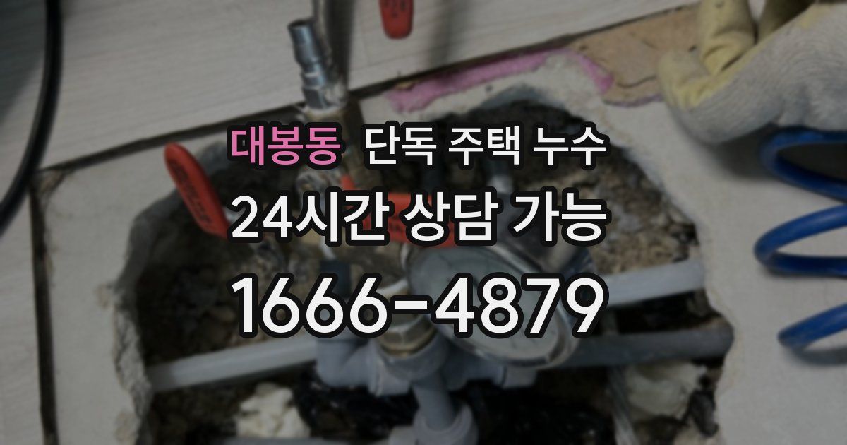 대봉동 단독 주택 누수