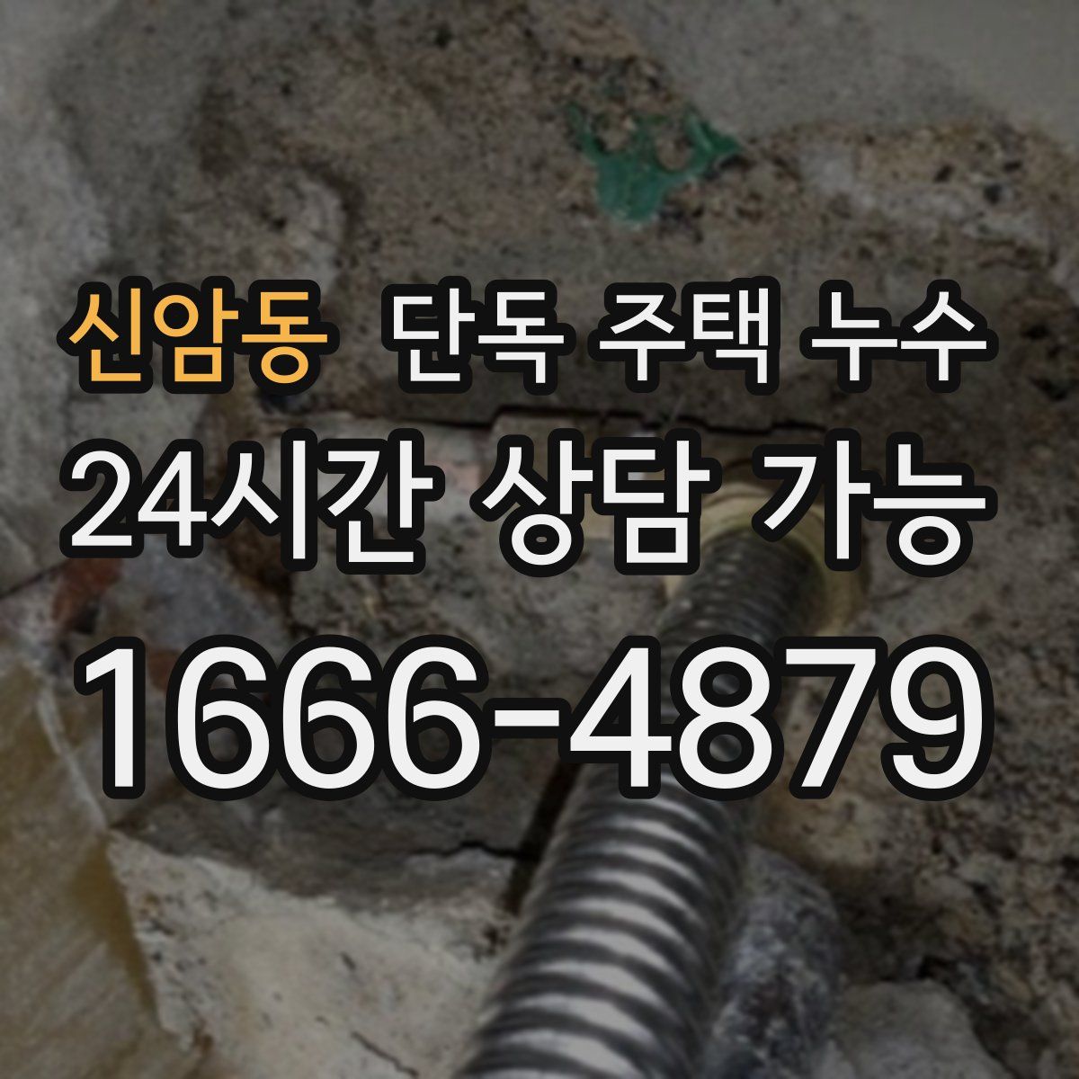 신암동 단독 주택 누수