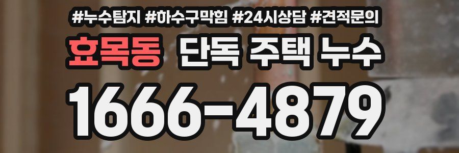 효목동 단독 주택 누수