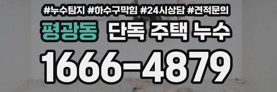 평광동 단독 주택 누수