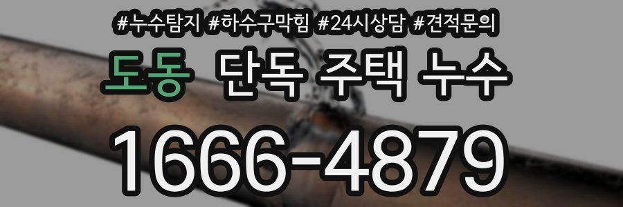도동 단독 주택 누수