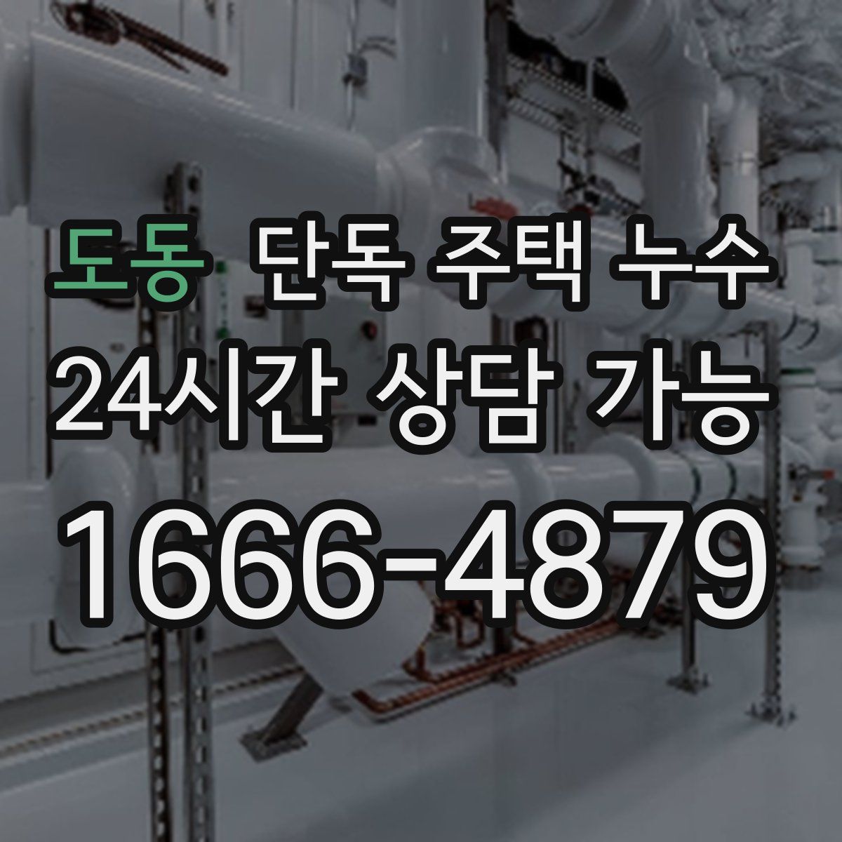 도동 단독 주택 누수